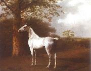 Agasse, Jacques-Laurent White Horse in Pasture china oil painting artist